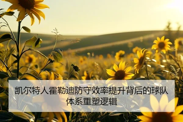 凯尔特人霍勒迪防守效率提升背后的球队体系重塑逻辑