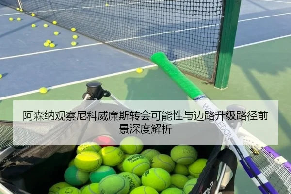 阿森纳观察尼科威廉斯转会可能性与边路升级路径前景深度解析